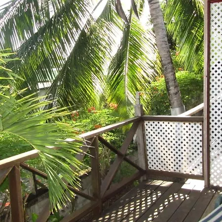 Dolphin Inn Guesthouse & Apartments